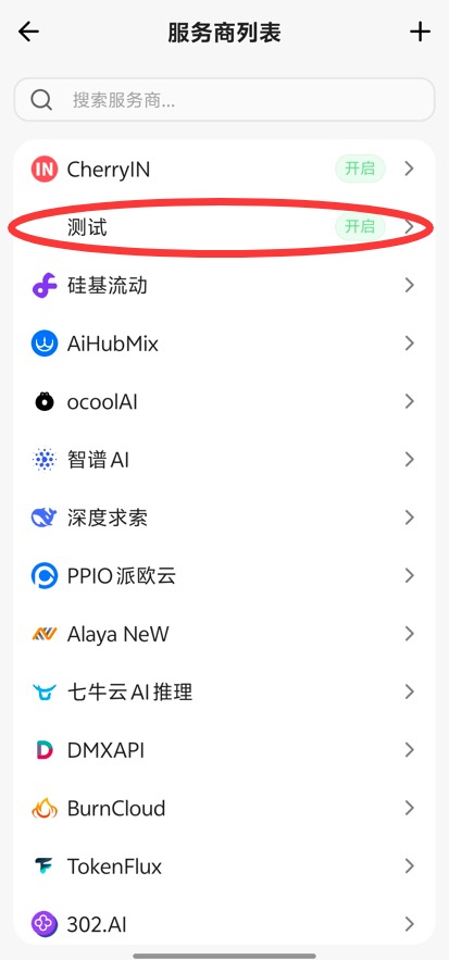 步骤7：点击进入刚添加的服务商