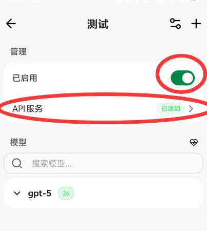 步骤8：启用并点击API服务